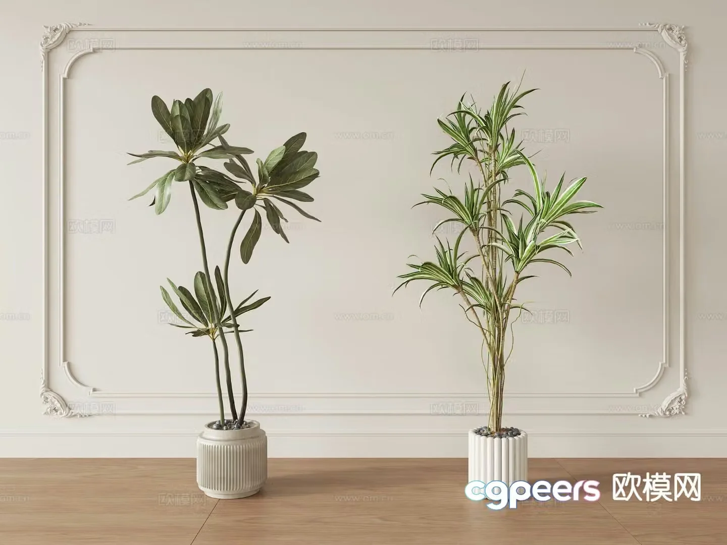 Wasabi wind green plant potted plants indoor potted plants 3D model
