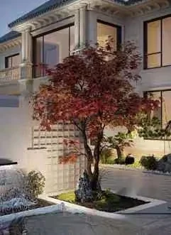 A Tree With Red Leaves 3D Model – 6698 – VRAY Render