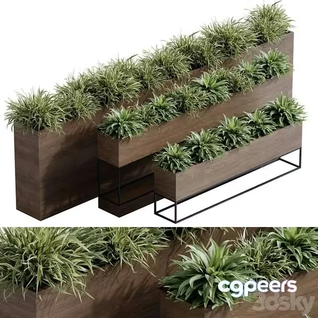 3ds Max Free – indoor plant set 65