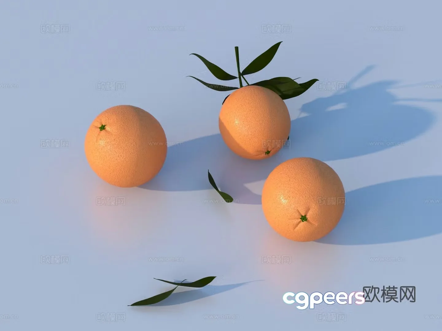 orange orange tangerine tangerine fruit 3d model