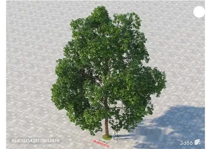 A Tree 3D Model – 7286 – VRAY Render