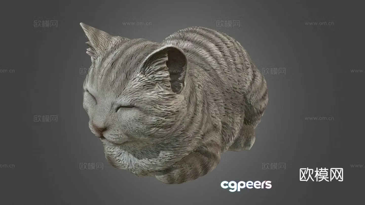 Doze Cat 3D Model