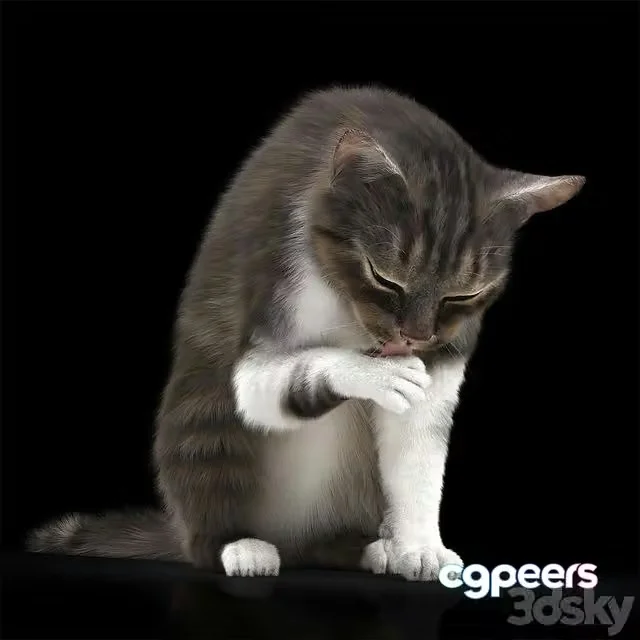 3ds Max Free – CAT 5 (realistic pet)
