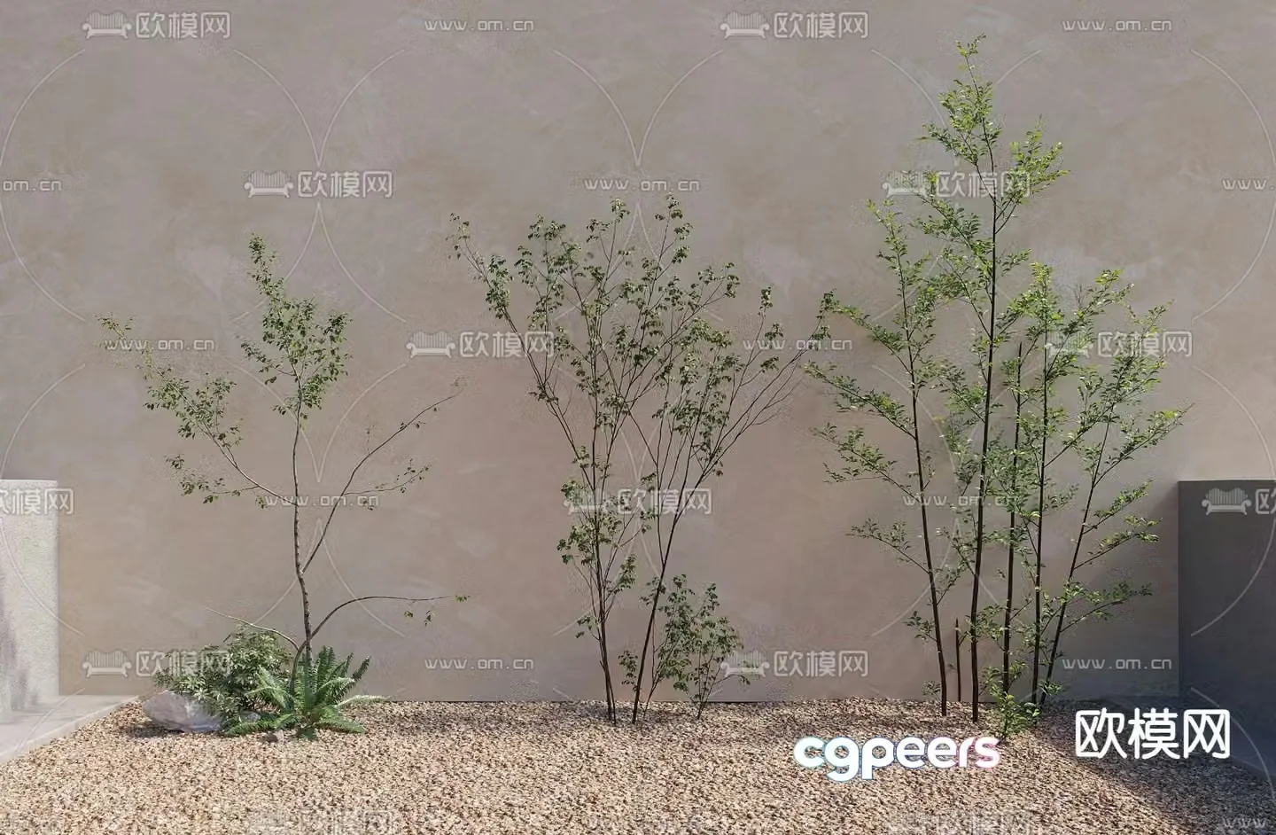 Trees Landscape Trees Garden Trees Saplings 3d Model