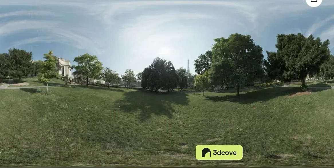 A Grassy Field With Trees