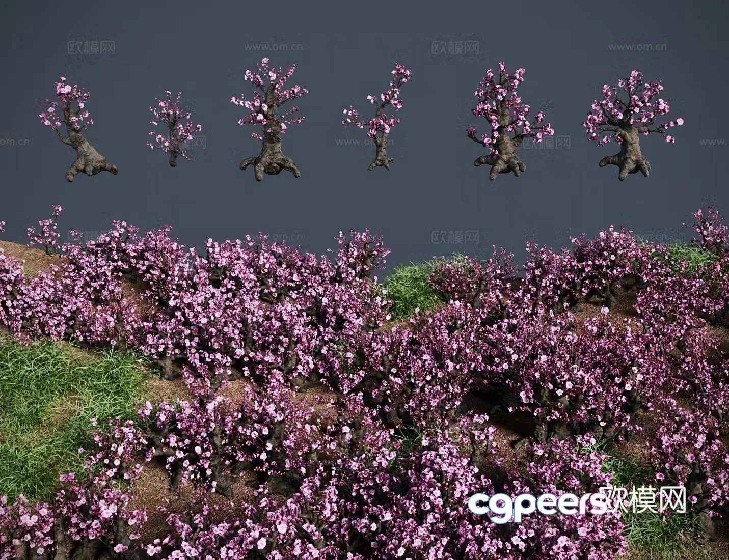 Modern landscape tree Plum Blossom bonsai shrub A snow frost beauty Snow beauty Cold beauty A spring 3D model