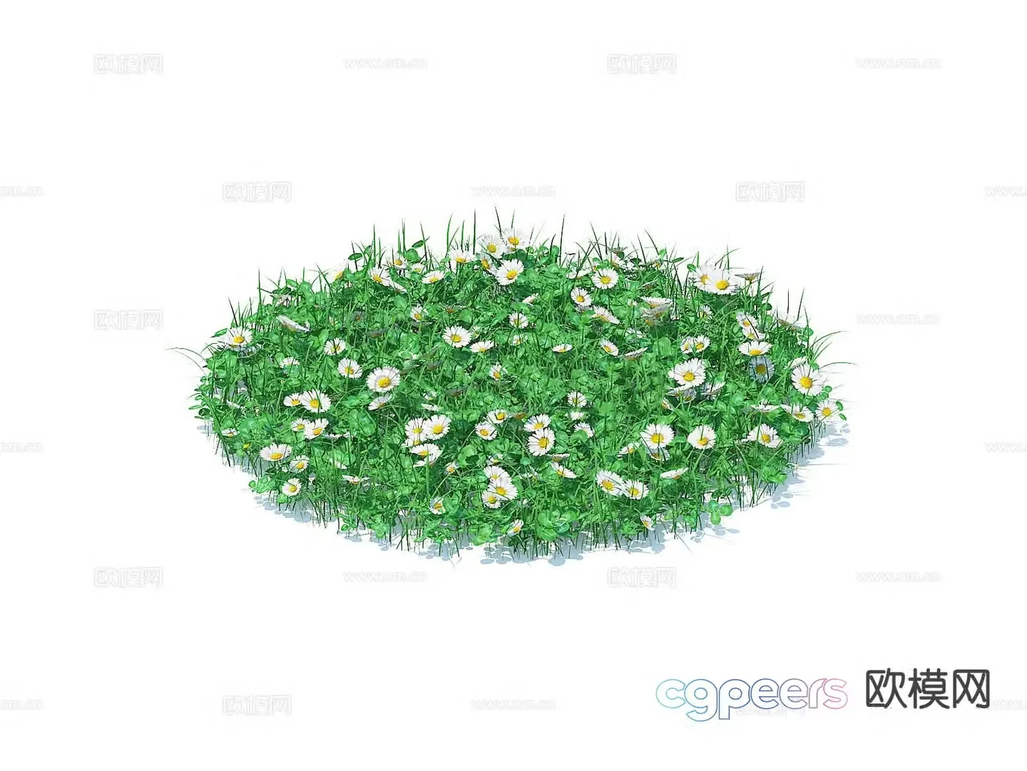grass lawn 3d model