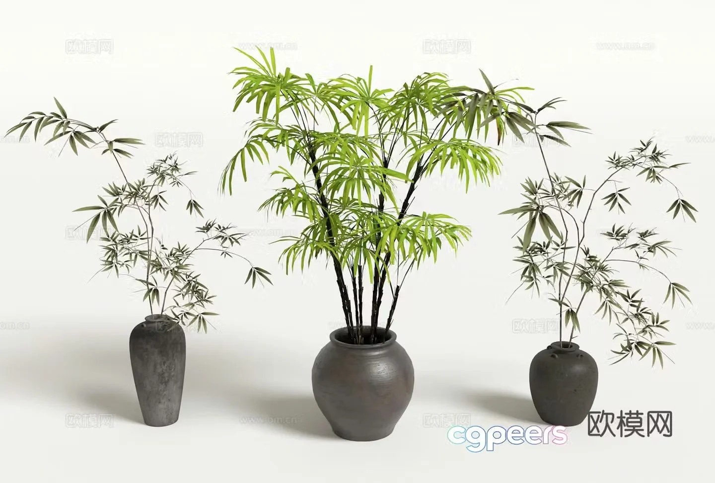 Bamboo potted potted green plant 3D model