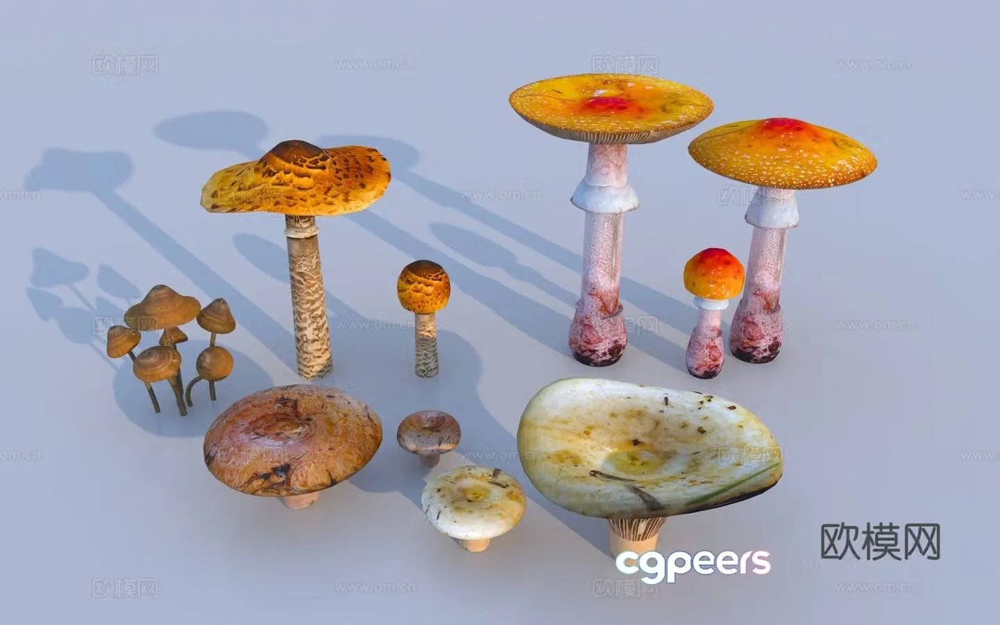 Modern mushroom fungi sketch 3D model