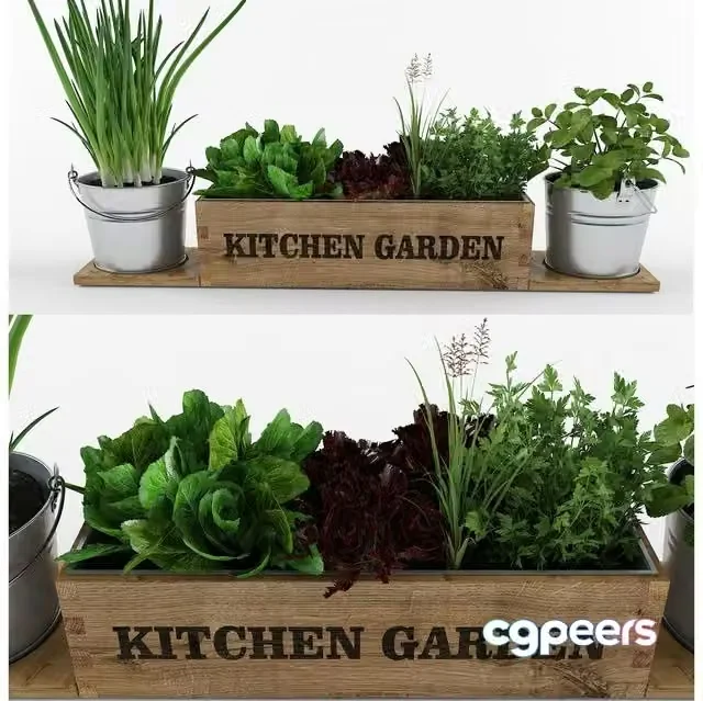 3ds Max Free – Kitchen garden