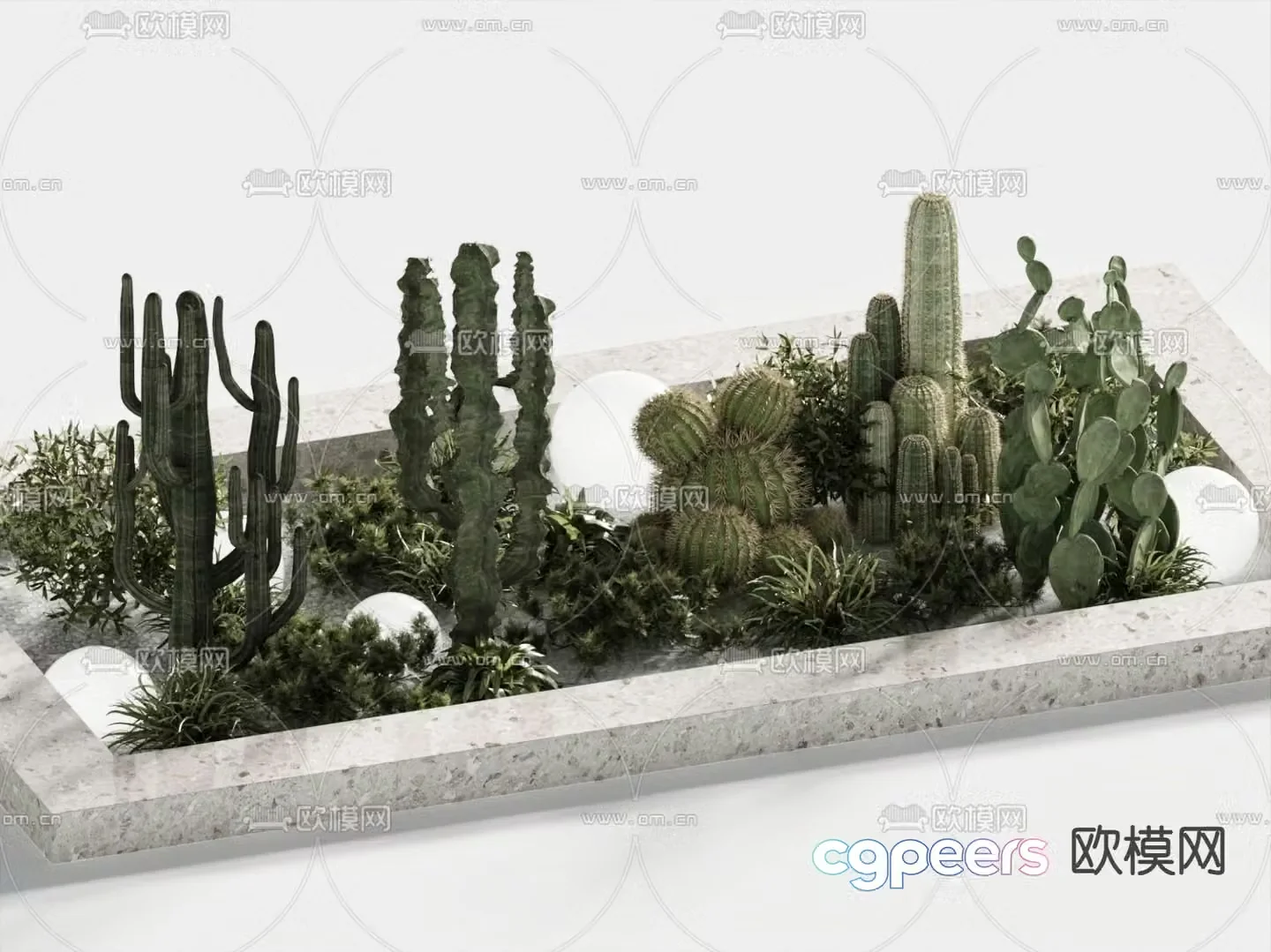 Cactus landscaping plant pile 3d model