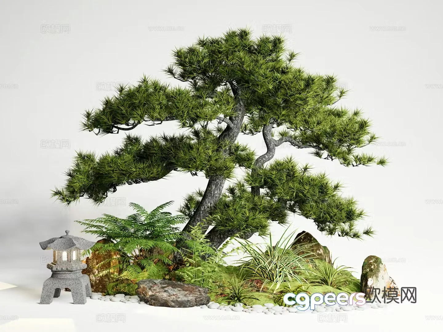 New Chinese style courtyard sketch courtyard landscape Podocarpus 3D model