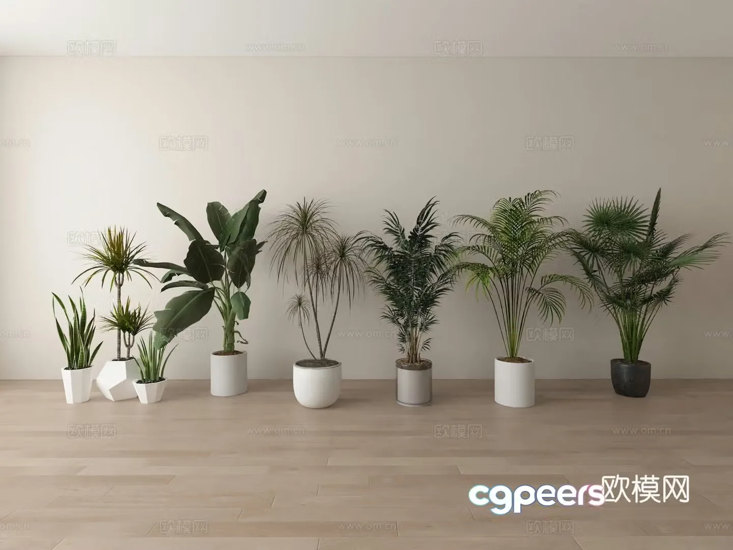 Green plant 3d model