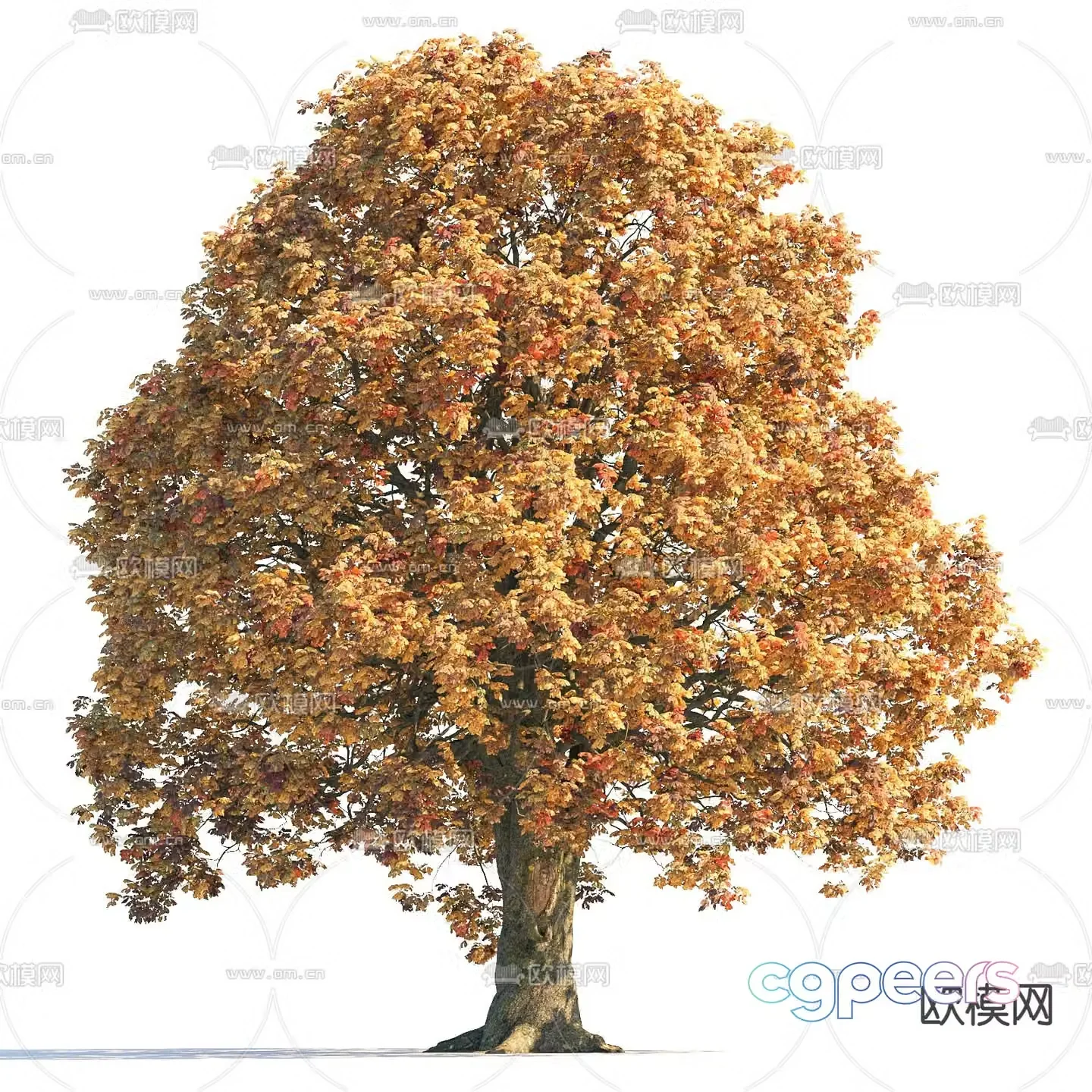 Landscape tree Garden tree Yellow leaf tree 3d model