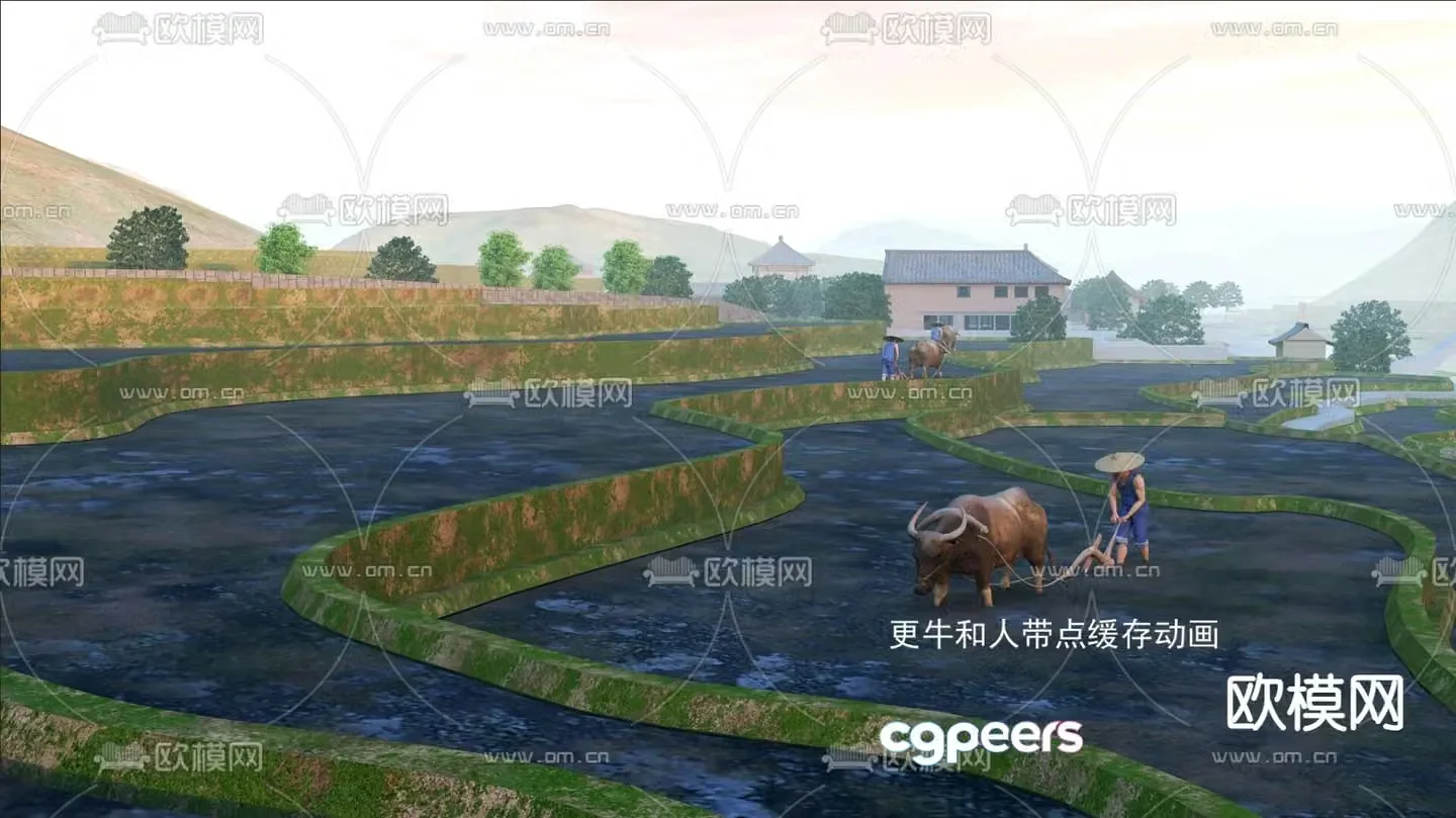 Paddy fields farmland cattle terraces 3d model