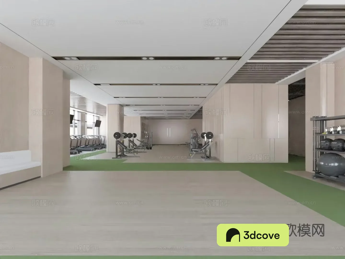 Super large gym