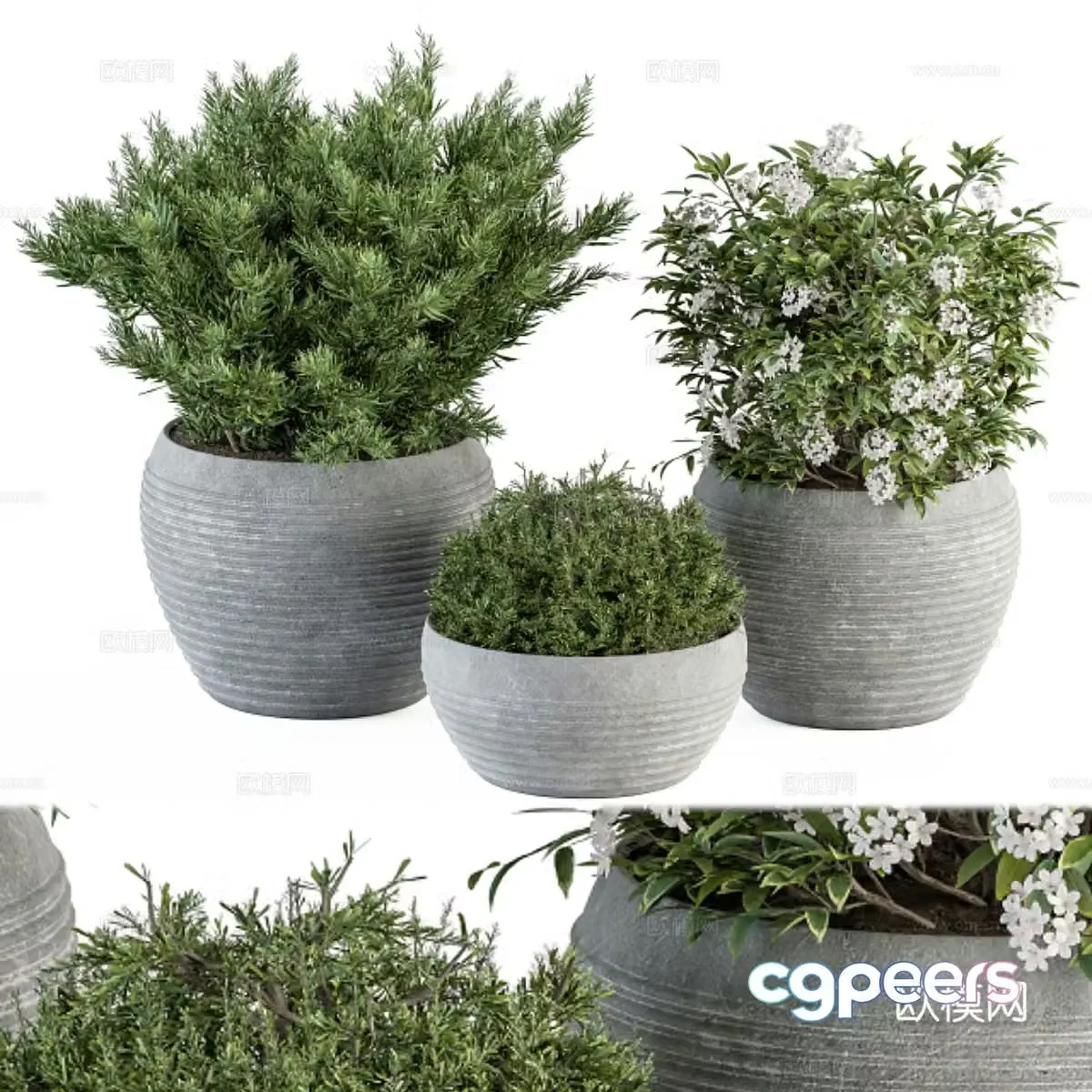 Potted 3D model