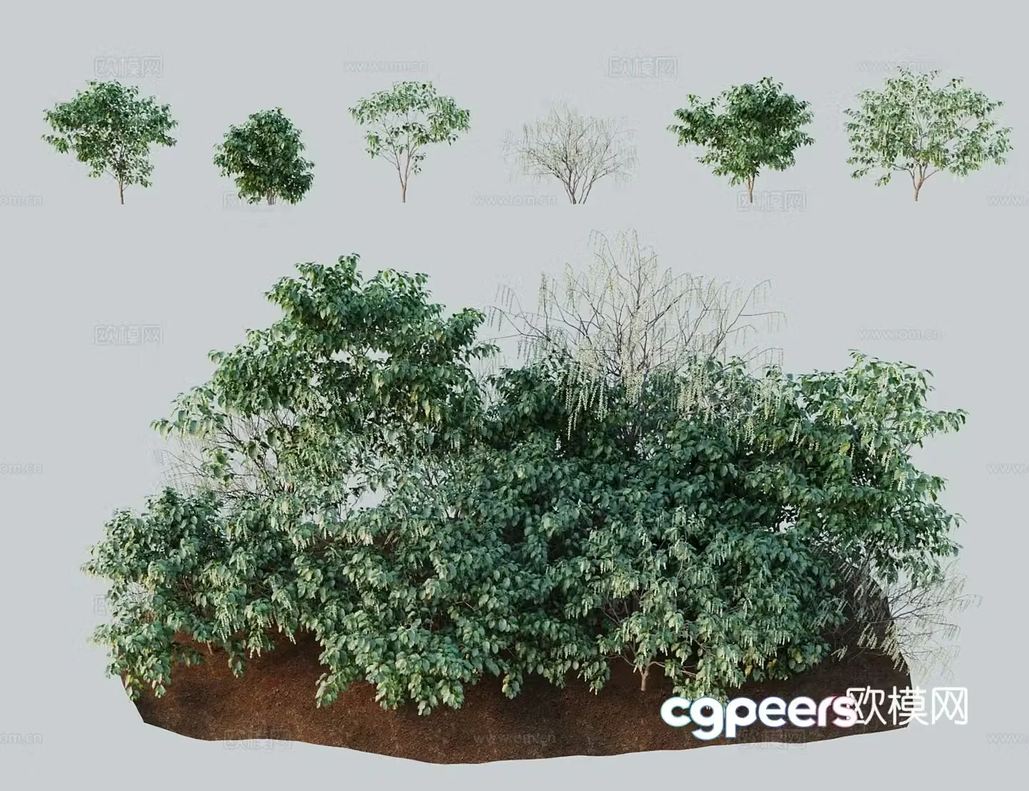 Modern landscape tree Early spring flag flowers and cold seeds Radish medicine and grass flowers 3D model