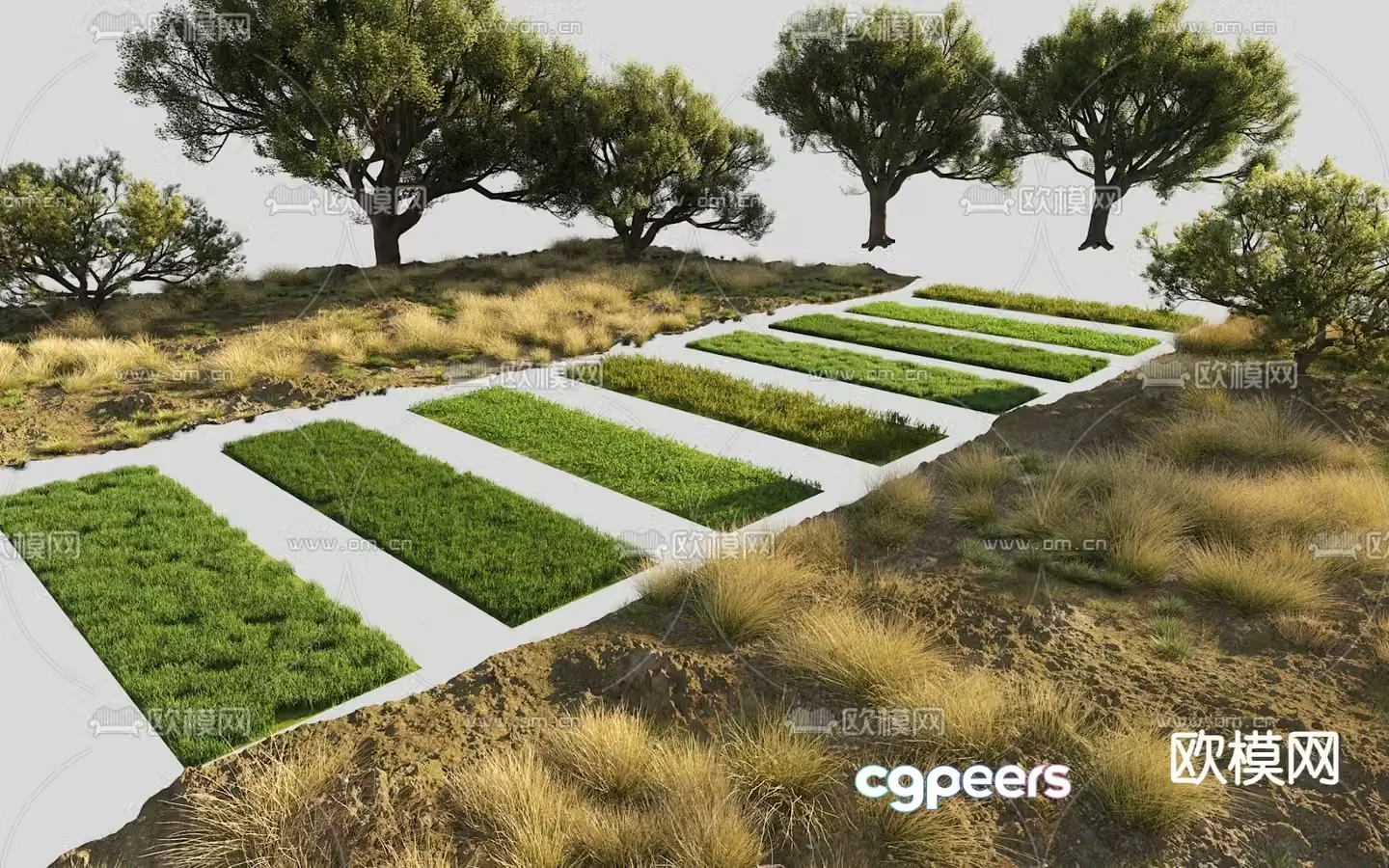 Grass lawn weeds garden road paving 3d model