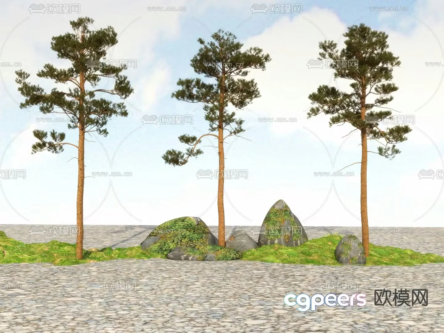 Big tree Landscape tree Street tree 3d model