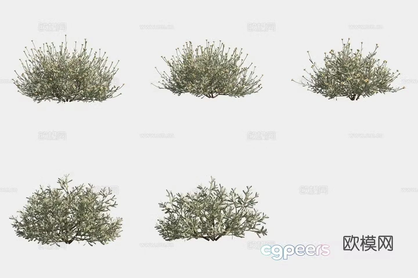 Gray leaf holland oak grass flowers and bushes 3d model