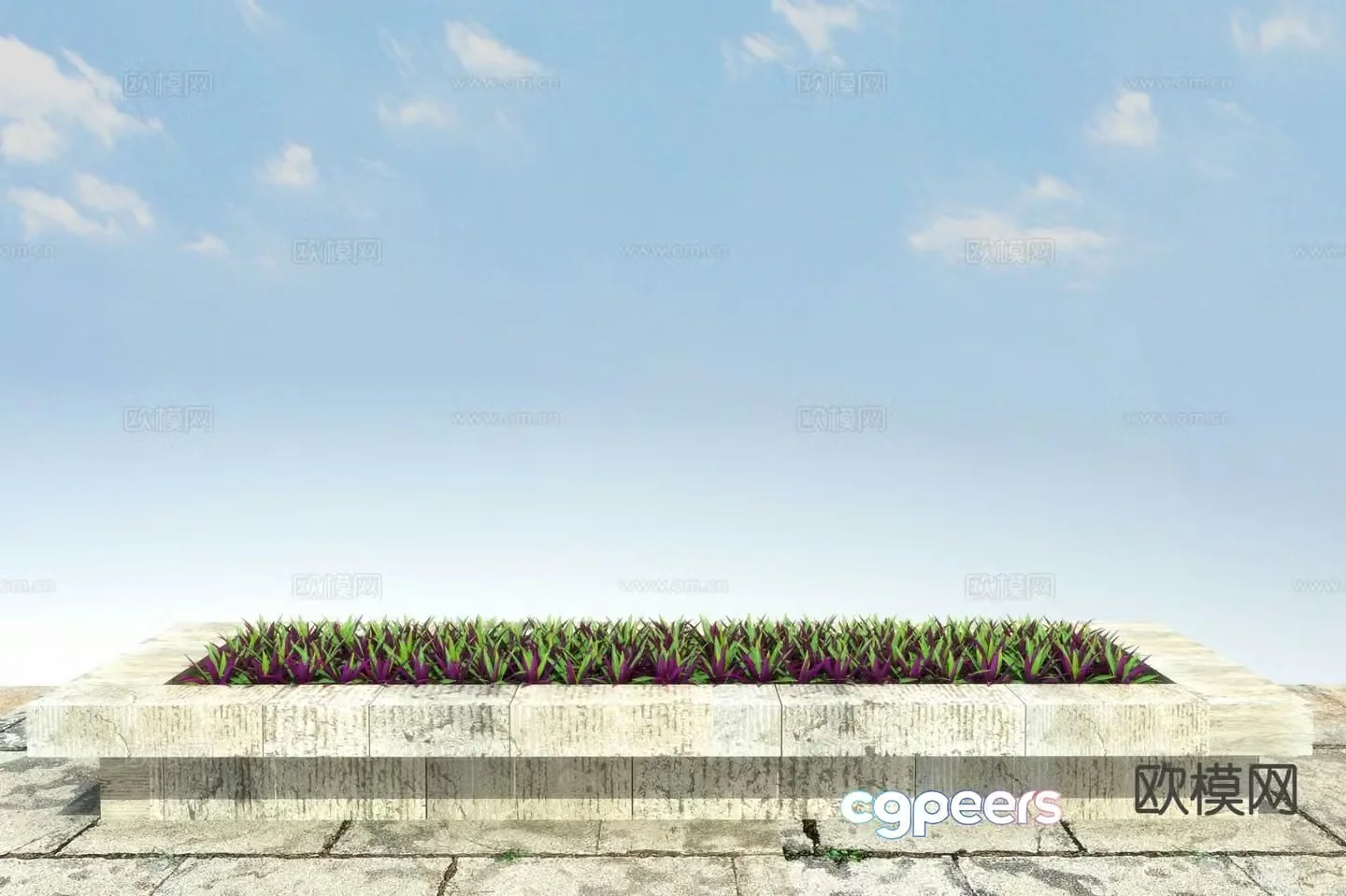 Flowers and plants Small clams orchid 3D model