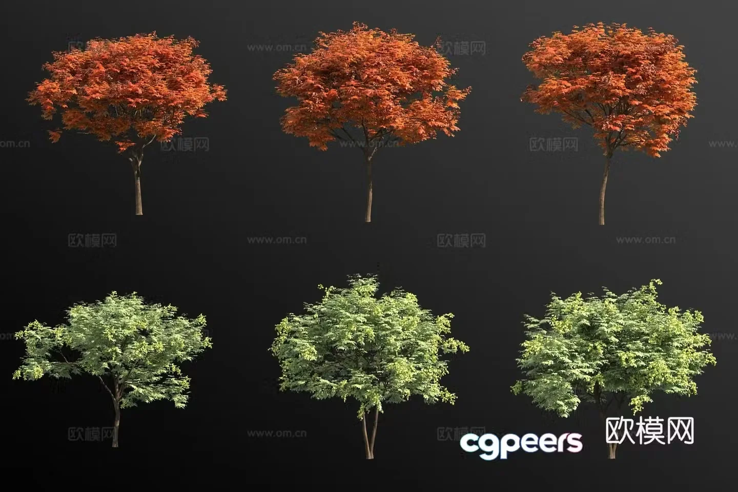 Luan tree landscape tree 3d model
