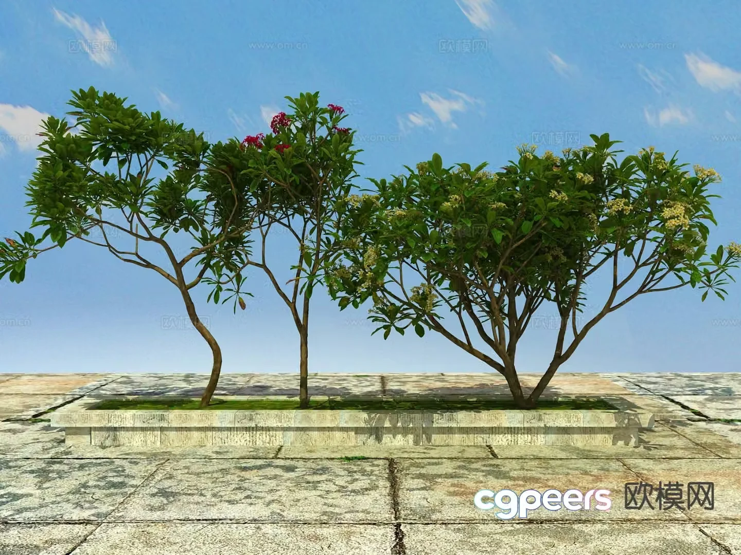 Landscape tree flowering plant 3d model
