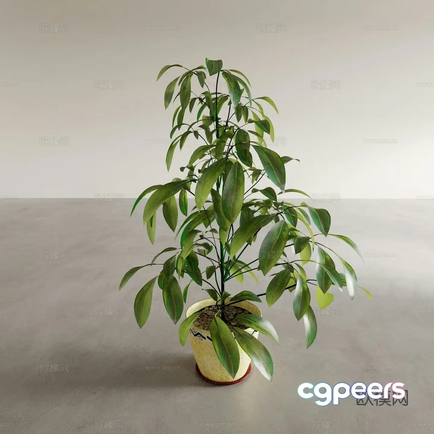 Vase Flower Art Flower Arrangement Green Plant Bonsai Pot Plant Indoor Green Plant Plant Ornament 3D Model
