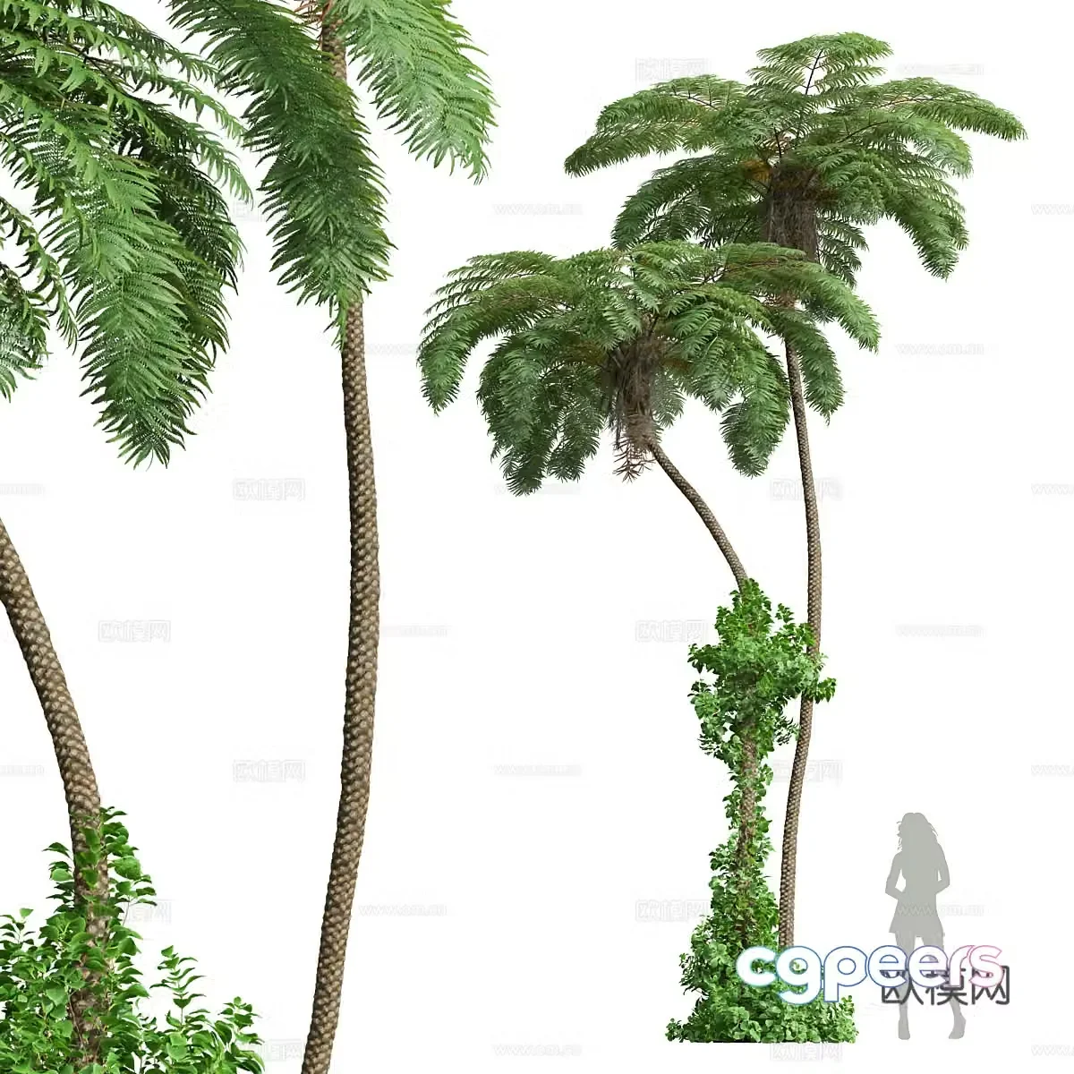 Tree 3D Model
