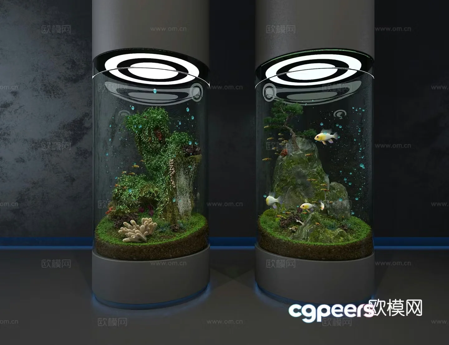 Ecological fish tank 3D model