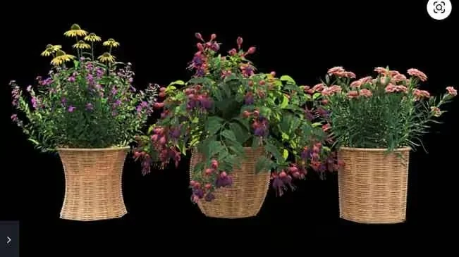 Three Woven Baskets 3D Model – 16550 – VRAY Render