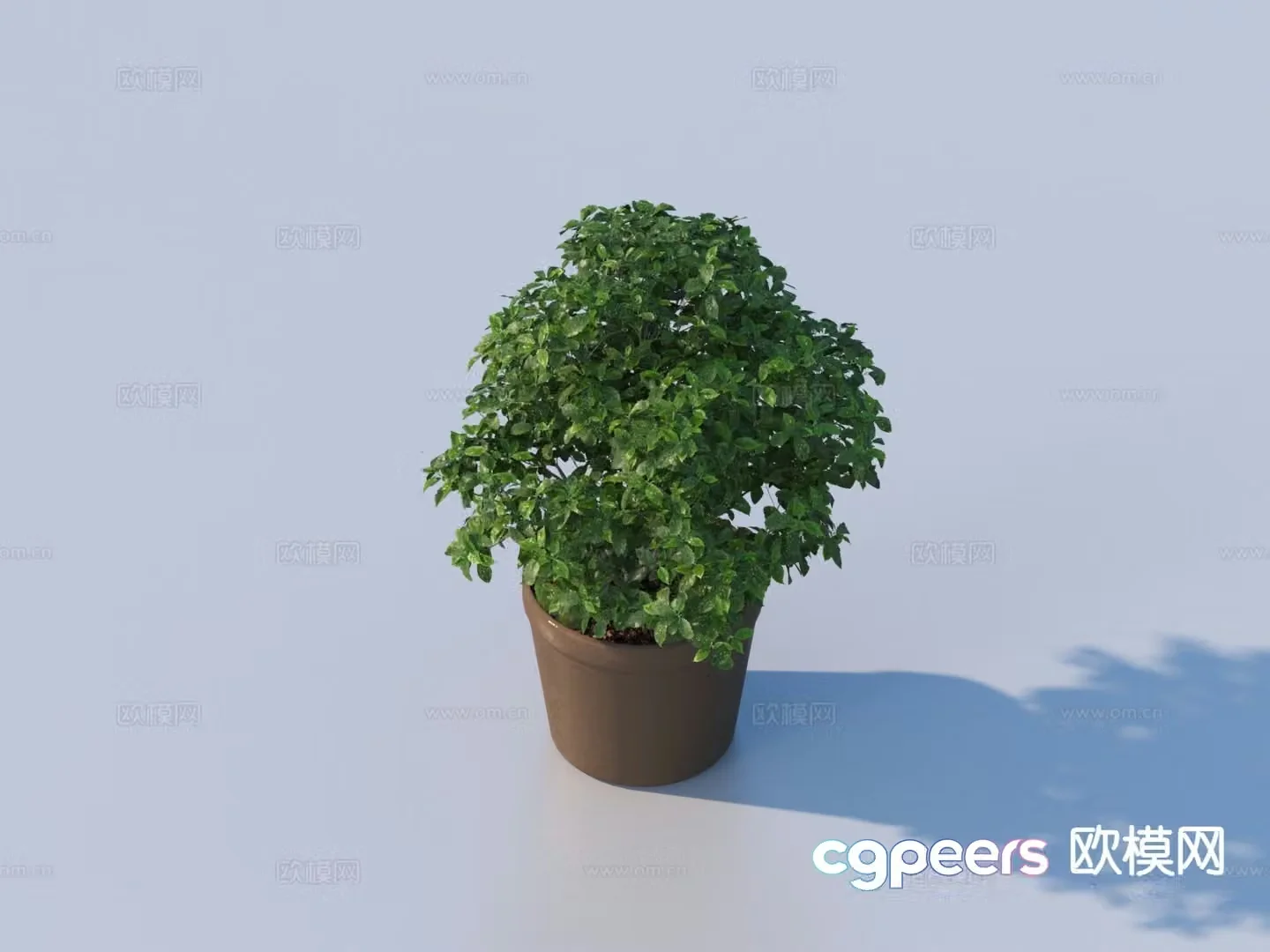 flowerpot potted plant green plant plant 3d model