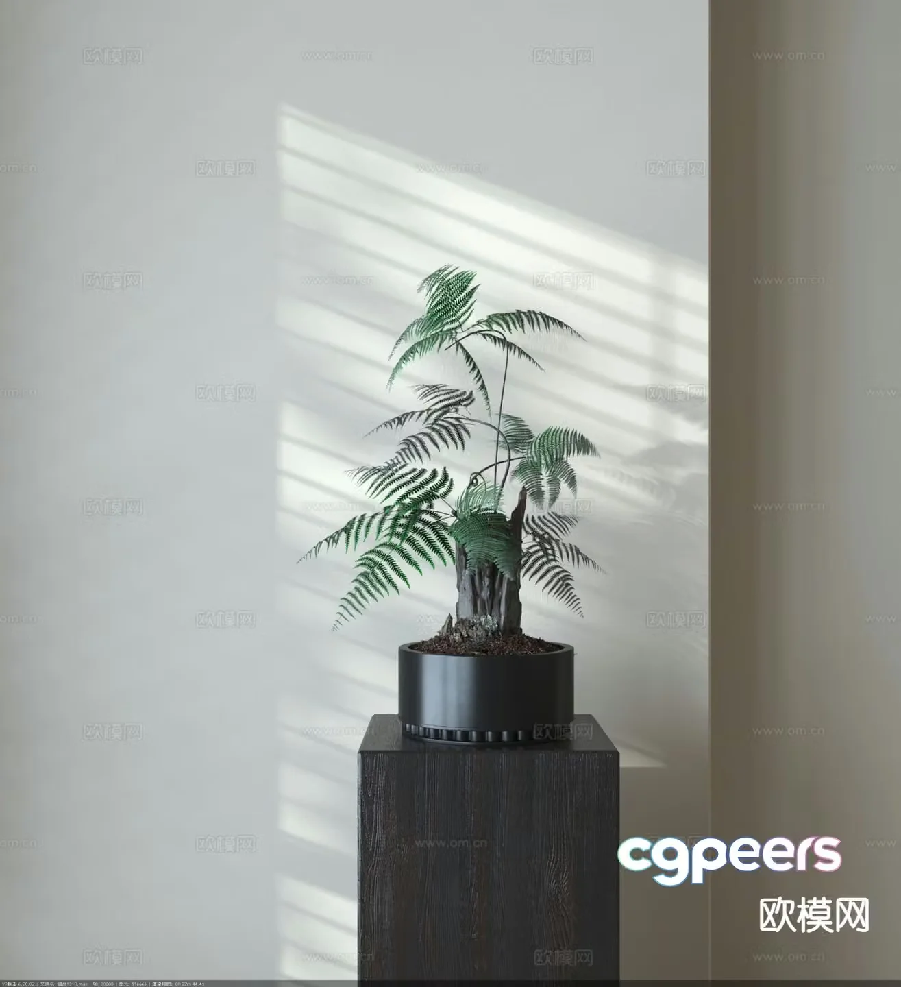 Fern potted plant plant potted plant 3d model