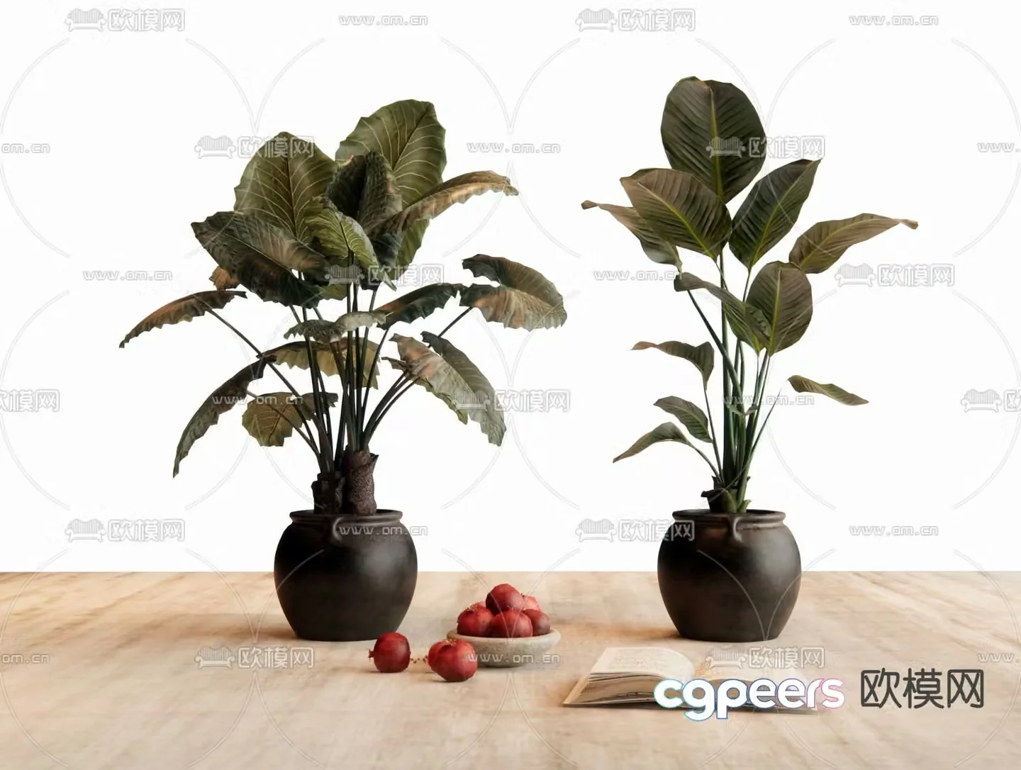 potted bonsai green plant 3d model