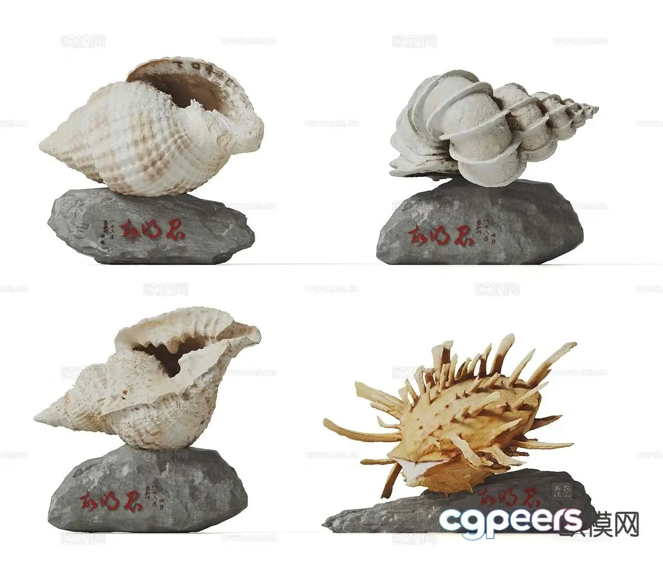 Conch sculpture landscape sculpture inscription stone landscape stone 3D model