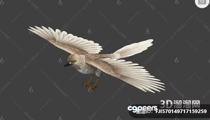A Bird In Flight 3D Model – 13867 – VRAY Render