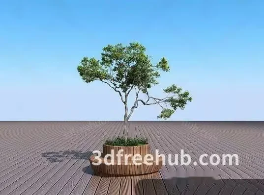 A Tree In A Pot 3D Model – 21584 – VRAY Render
