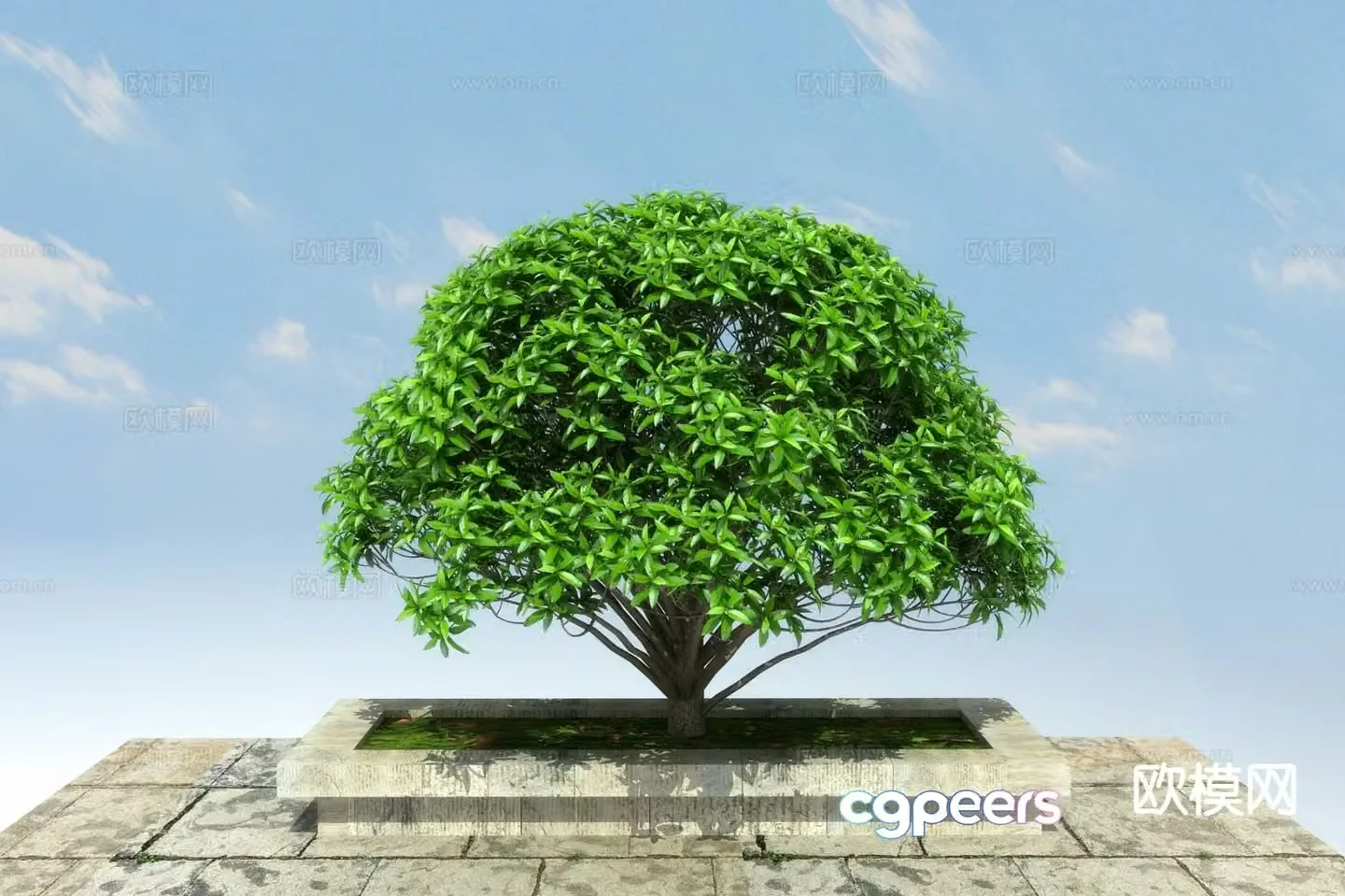 Landscape tree 3d model