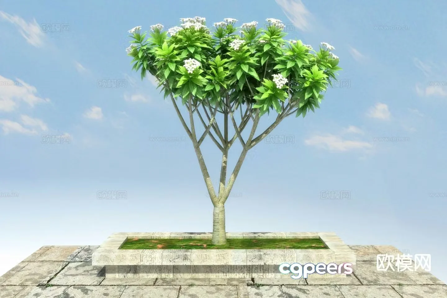 Landscape tree 3d model
