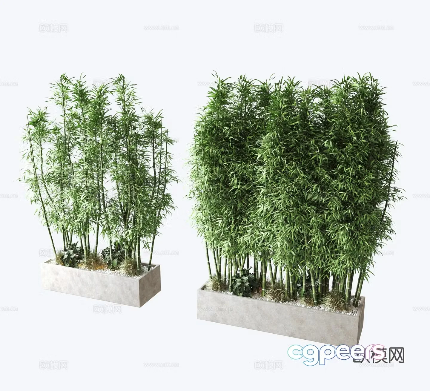 Plant green plant wall bamboo 3d model