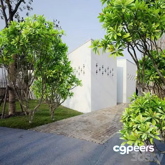 3ds Max Free – Frangipani tree