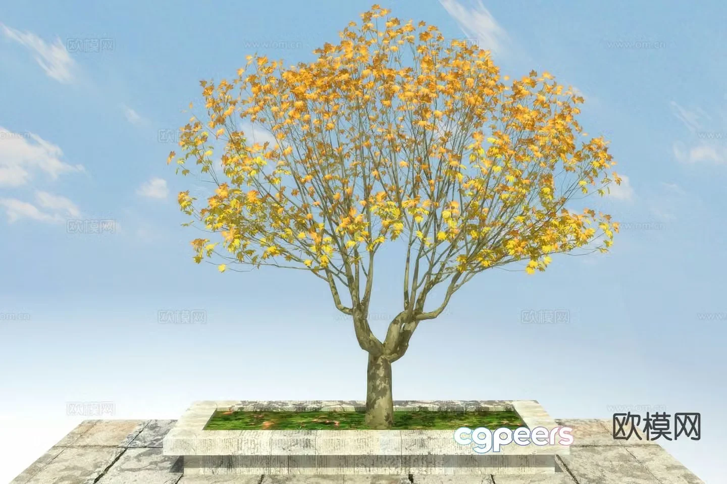 Landscape tree Big tree Fatong 3D model