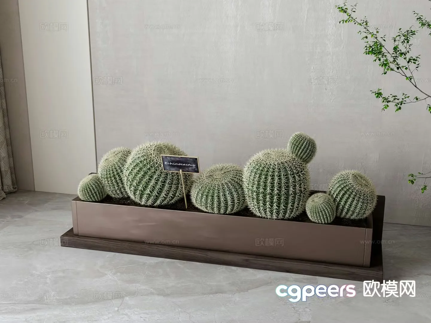 Modern cactus potted 3d model