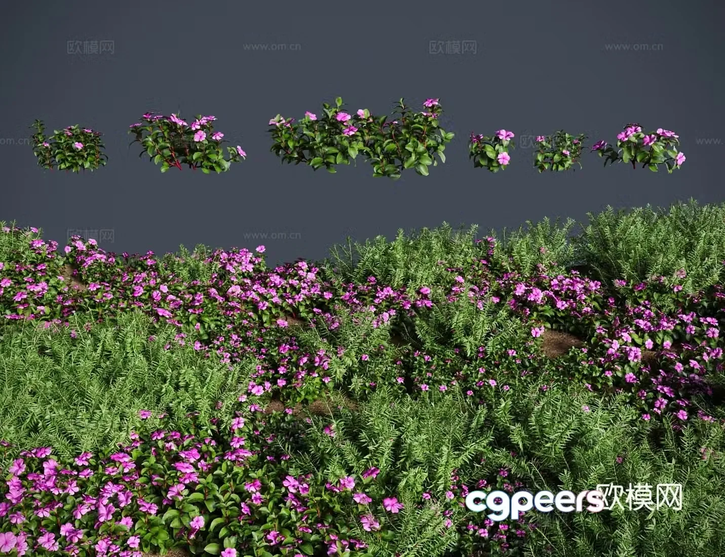 Modern meadow lawn periwinkle meadow shrub 3d model