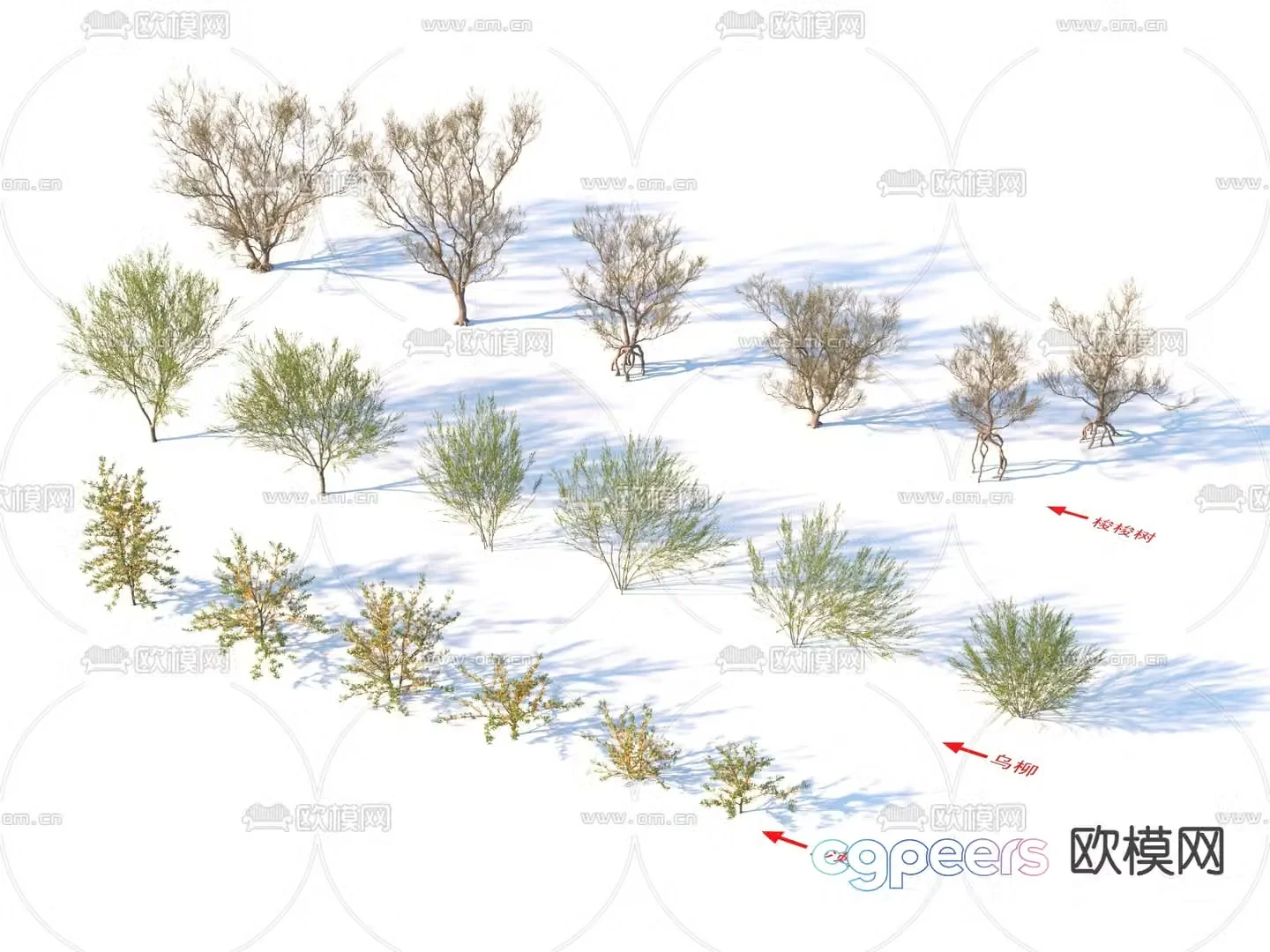 plants landscape trees shrubs 3d model