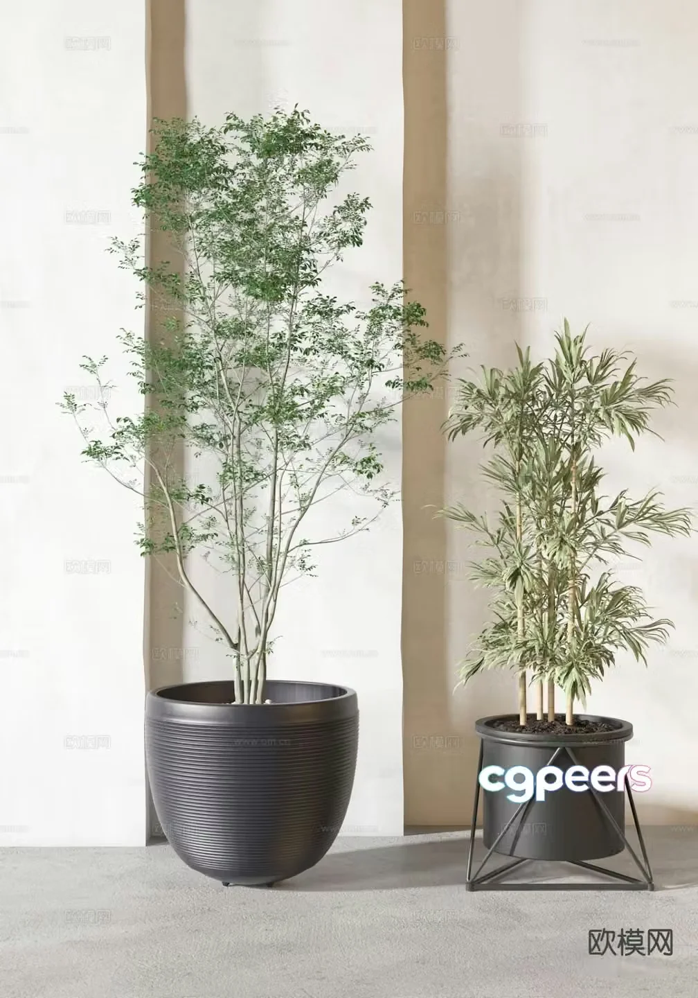 potted bonsai green plant 3d model