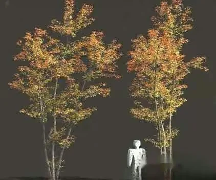 A White Human Figure Standing Between Two Trees 3D Model – 642 – VRAY Render