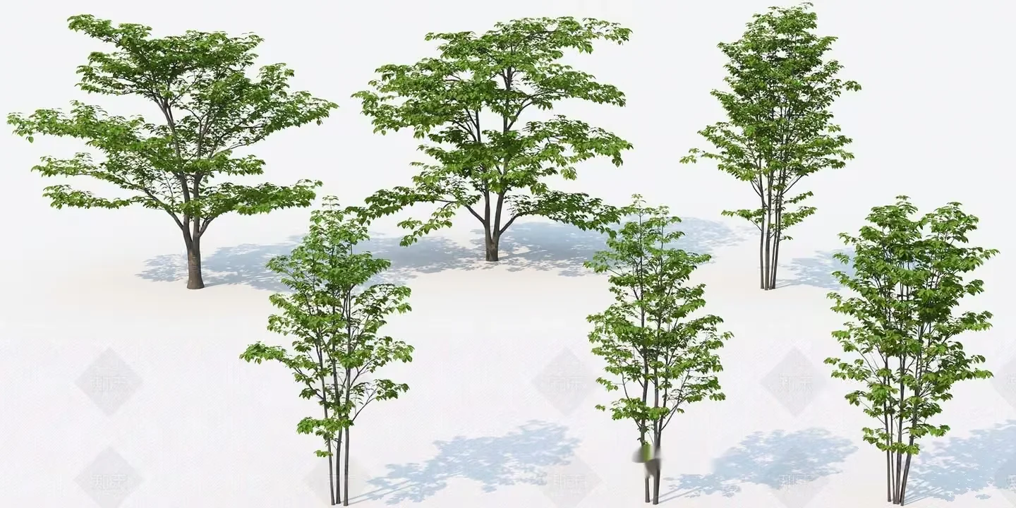 Trees With Green Leaves 3D Model – 13788 – VRAY Render