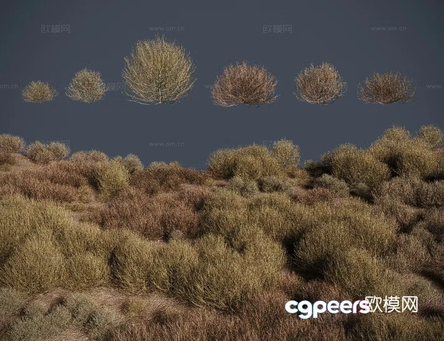 modern meadow lawn tumbleweed meadow shrub 3d model